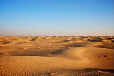Revelation & Transformation in the Wilderness