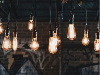 Failure: Springboard to Success
