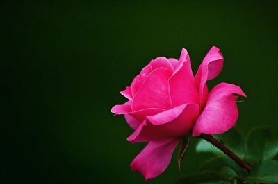 Love Beyond the Ledger
