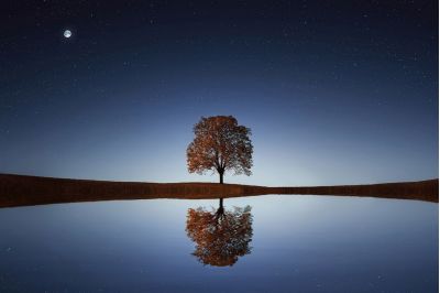 Under the Passover Moon