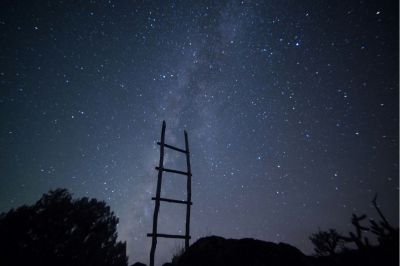 The Immovable Ladder