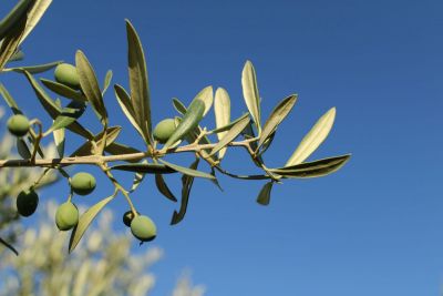 God of Fresh Starts