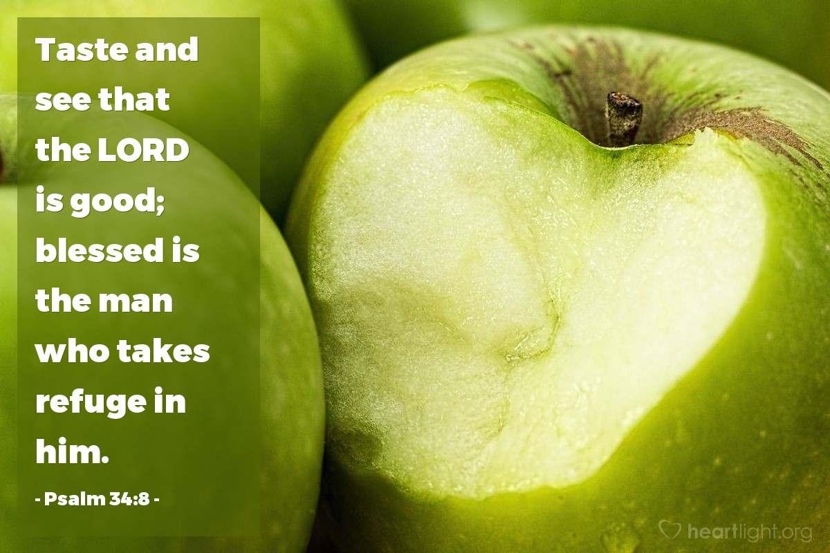 Psalm 34 8 Verse Of The Day For 10 08 2013
