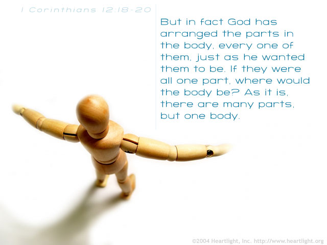 Illustration of 1 Corinthians 12:18-20 on Body Of Christ