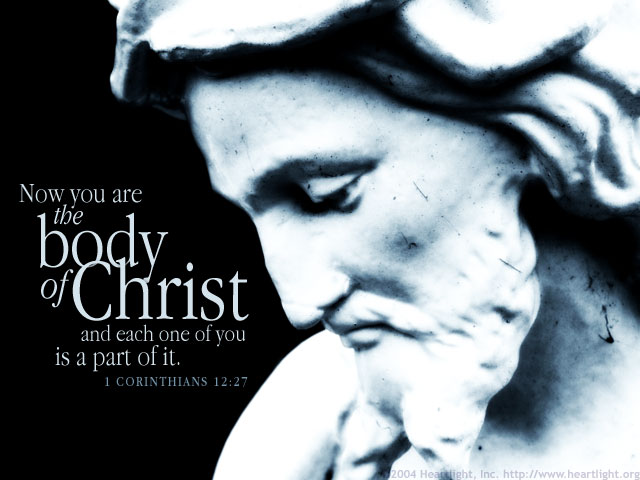 Illustration of 1 Corinthians 12:27 on Body Of Christ