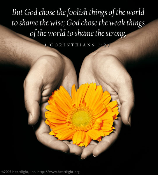 Illustration of 1 Corinthians 1:27 on Strength