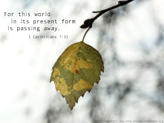 Illustration of 1 Corinthians 7:31 on Worldliness