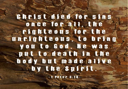 Illustration of 1 Peter 3:18 on Sin