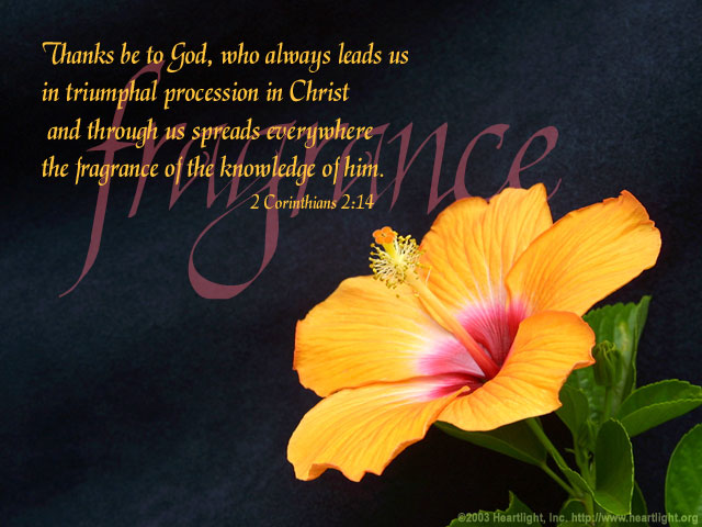 Illustration of 2 Corinthians 2:14 on Knowing God