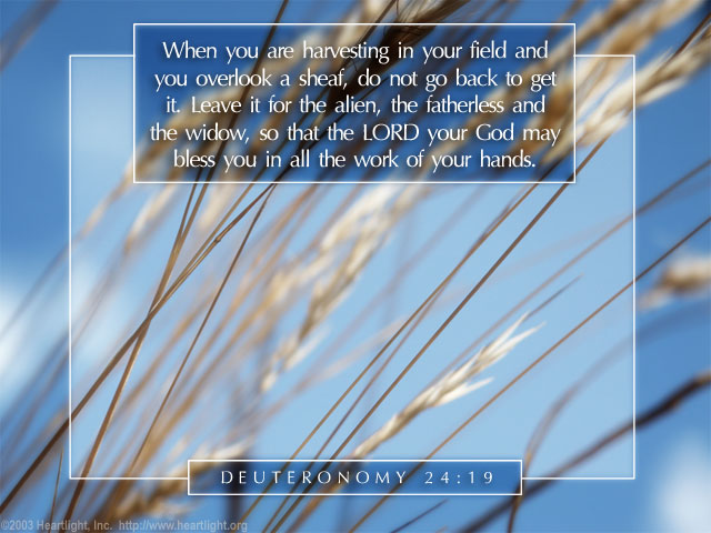 Illustration of Deuteronomy 24:19 on Kindness