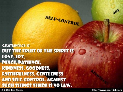 Illustration of Galatians 5:22-23 on Control