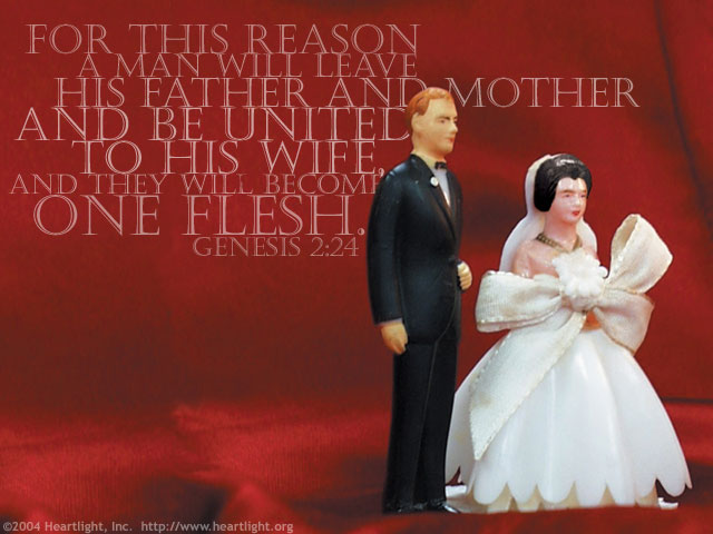 Illustration of Genesis 2:24 on Marriage