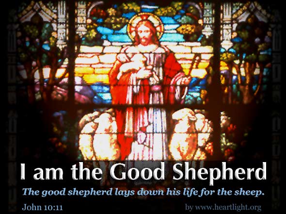 Illustration of John 10:11 on Shepherd