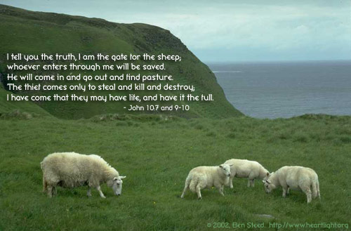 Illustration of John 10:7 and 9-10 on Shepherd