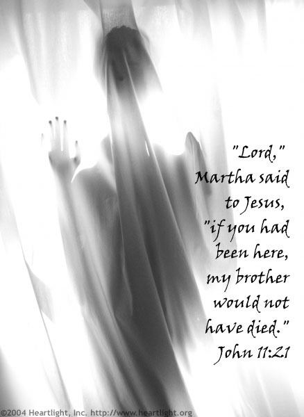 Illustration of John 11:21 on Comfort
