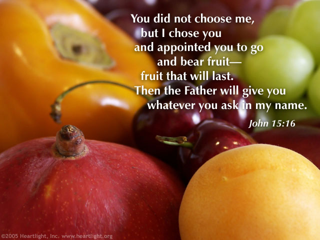 Illustration of John 15:16 on Fruit Of The Spirit