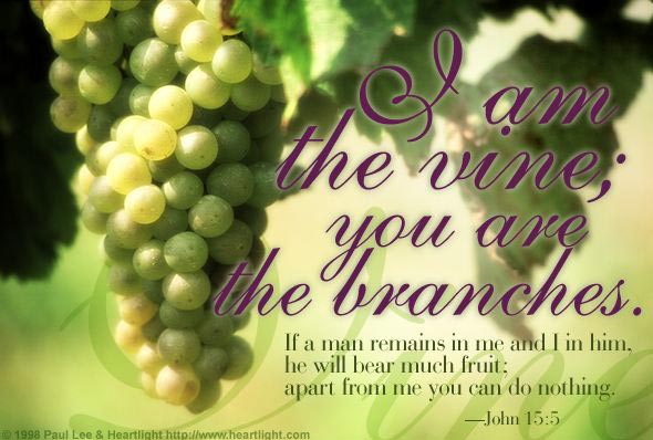 John 15:5 Illustrated: "I am the Vine; You are the Branches" — Heartlight®  Gallery