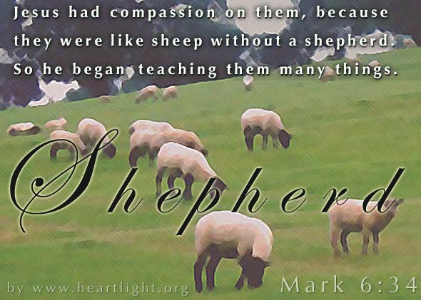 Illustration of Mark 6:34 on Shepherd