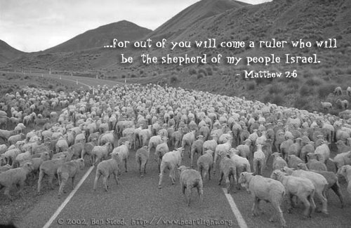 Illustration of Matthew 2:4-6 on Shepherd