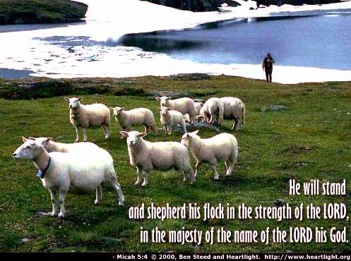 Illustration of Micah 5:4 on Shepherd