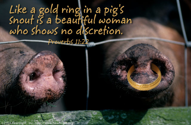 Illustration of Proverbs 11:22 on Women