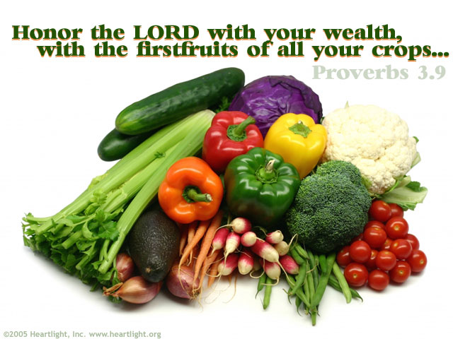Illustration of Proverbs 3:9 on Wealth