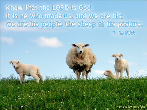 Illustration of Psalm 100:3 on Shepherd