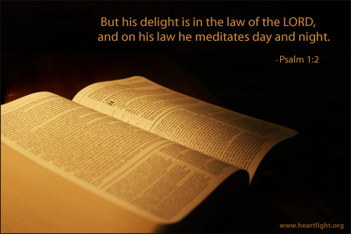 Illustration of Psalm 1:2 on Wisdom