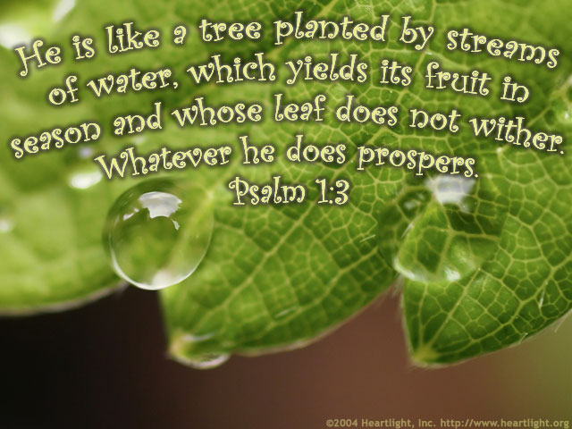 Illustration of Psalm 1:3 on Blessed