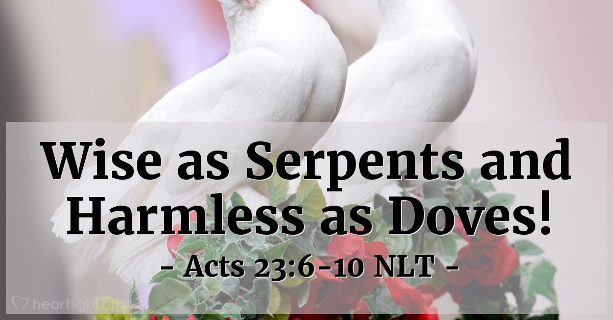 "Wise as Serpents and Harmless as Doves!" — Acts 23610 (Unstoppable!)