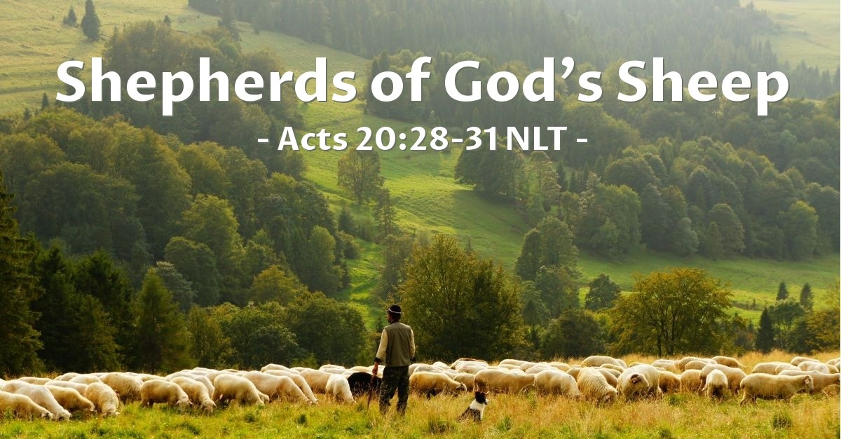 "Shepherds of God's Sheep" — Acts 20:28-31 (Unstoppable!)