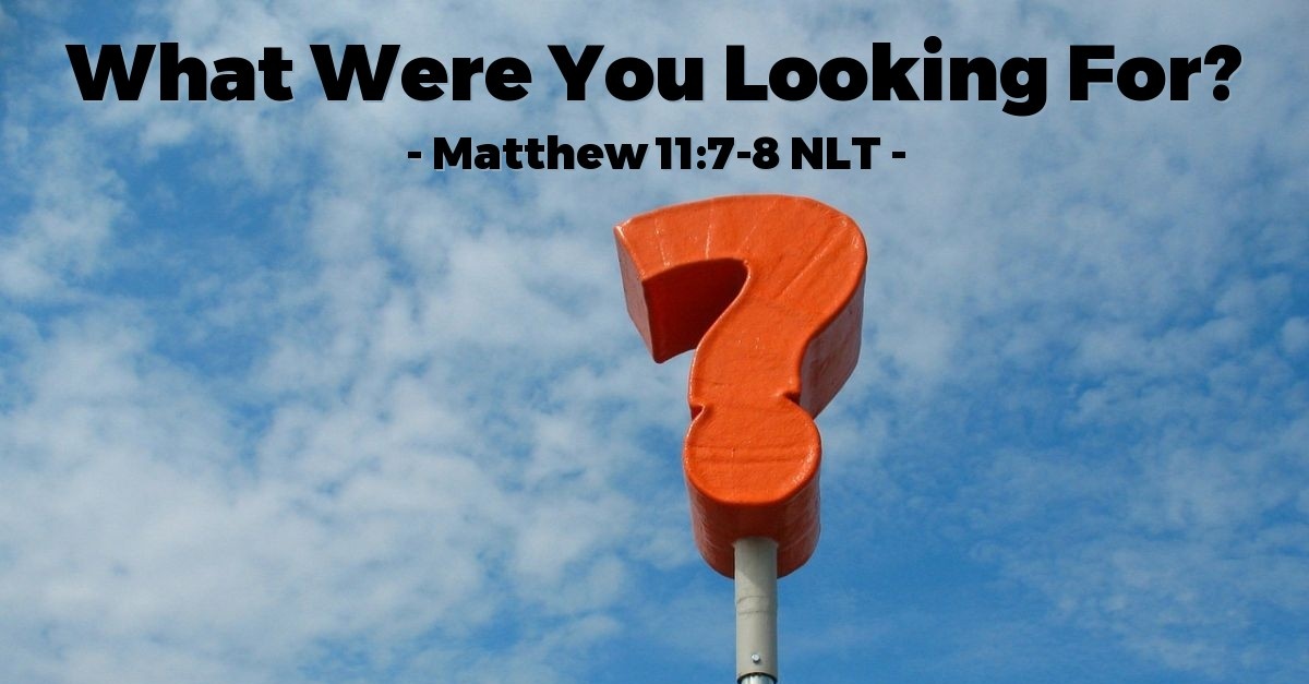 What Were You Looking For Matthew 11 7 8 What Jesus Did