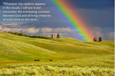 Genesis 9:14-16 Whenever I bring clouds over the earth and the rainbow  appears in the clouds, I will remember my covenant between me and you and  all living creatures of every kind.