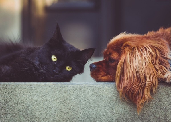 Read Today's Spiritual Warfare Devotional