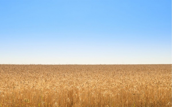 Read Today's Passion for Praise Devotional