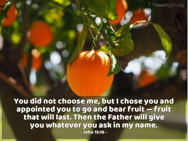 Illustration of the Bible Verse John 15:16