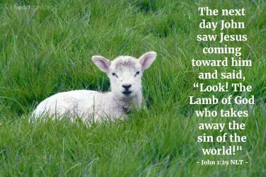 lamb of god bible