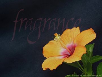 PowerPoint Background: 2 Corinthians 2:14 Plain