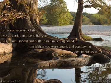 Illustration of the Bible Verse Colossians 2:6-7