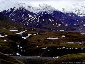 PowerPoint Background: Denali Foothills