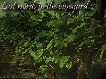 PowerPoint Background: John 15:1-17