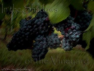 PowerPoint Background: John 15:1 - Shadows