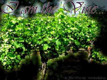 PowerPoint Background: John 15:1