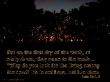 PowerPoint Background: Luke 24:1-5 Text