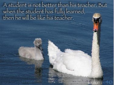 Illustration of the Bible Verse Luke 6:40