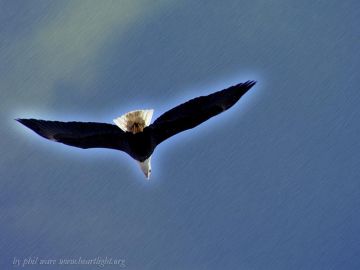 PowerPoint Background: On Eagle's Wing