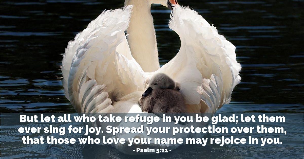 Psalm 5 11 Verse Of The Day For 05 11 2012 psalm-5-11-verse-of-the-day-for-05-11-2012