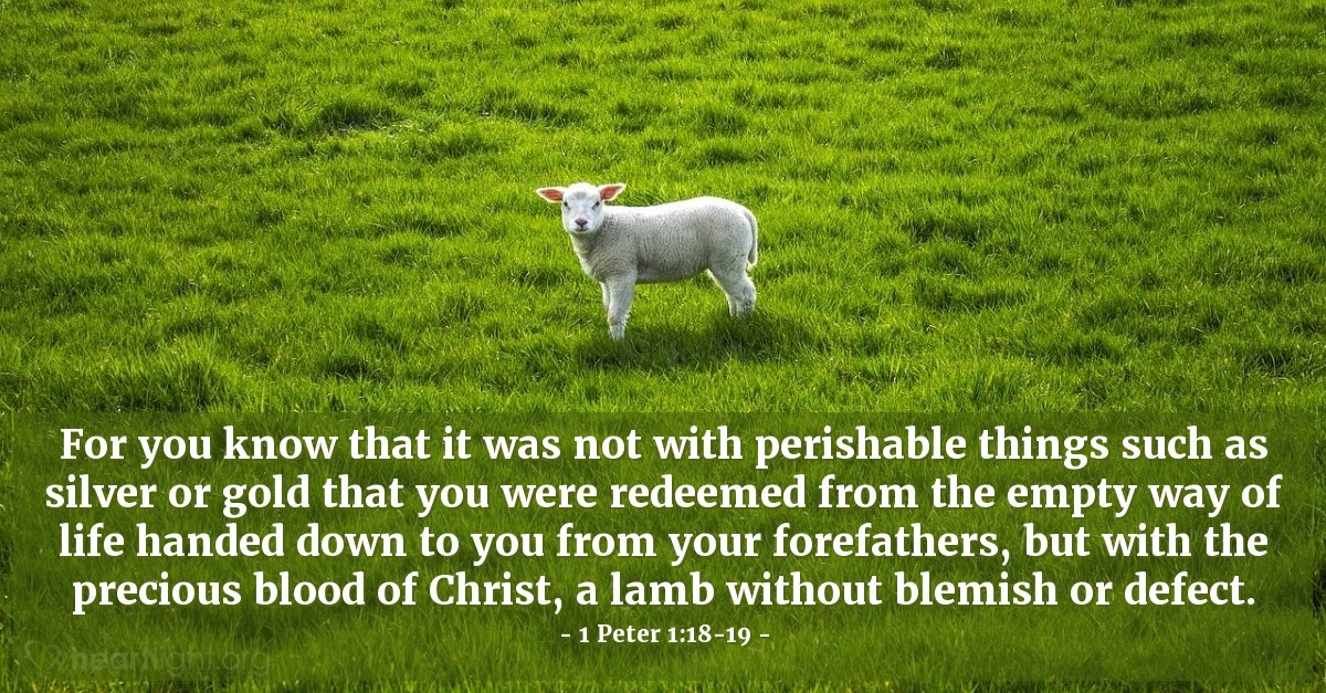 1 Peter 1 18 19 Today s Verse For Saturday January 18 2020 1-peter-1-18-19-today-s-verse-for-saturday-january-18-2020