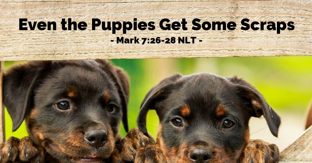 "Even the Puppies Get Some Scraps" — Mark 72628 (What