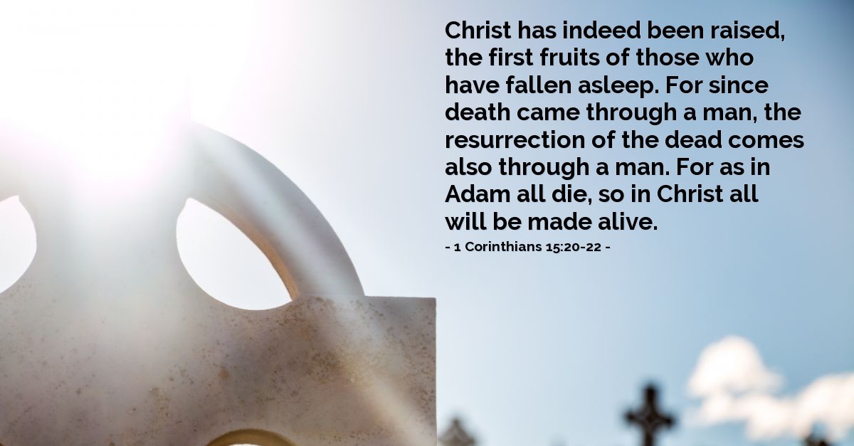 1 Corinthians 15 20 22 Verse Of The Day For 04 19 1998 1-corinthians-15-20-22-verse-of-the-day-for-04-19-1998